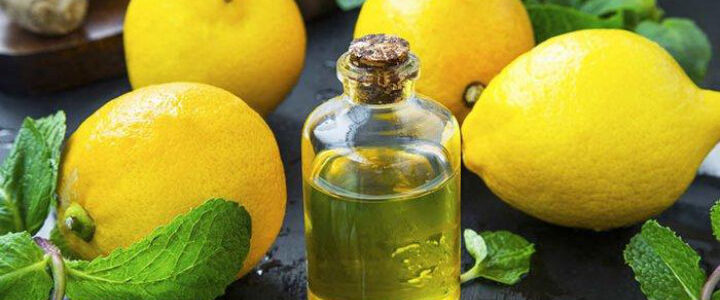 Minyak Lemon Ternyata Memiliki Fungsi Untuk Menjaga Organ Dalam